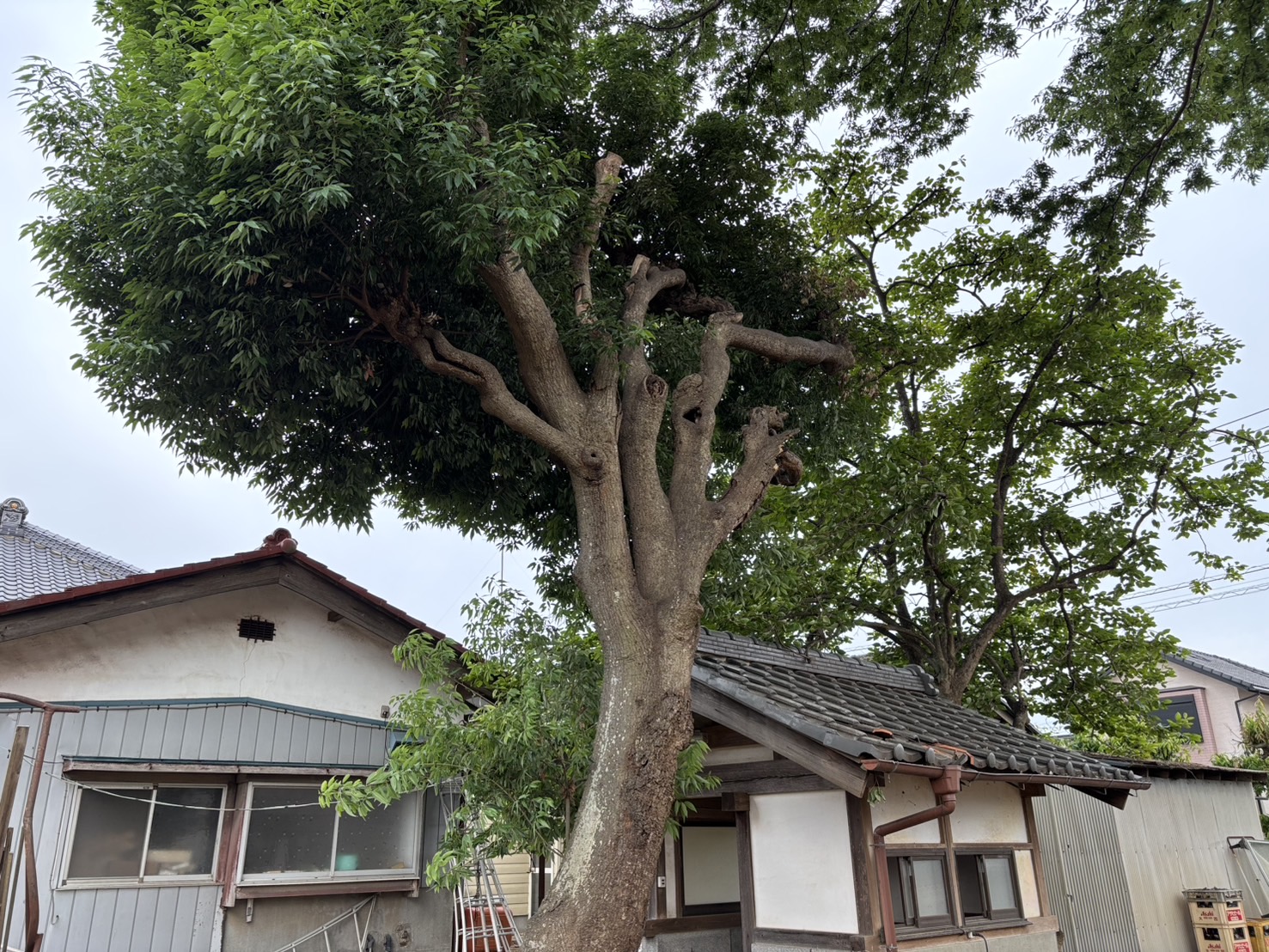 施工事例